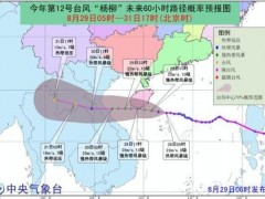 台风杨柳最新路径！将经过哪些地区？