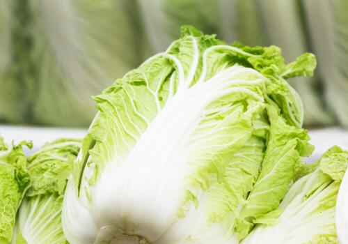 白菜跌出“白菜价”原因为何？未来蔬菜市场价格会上涨吗？