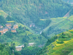 山东平邑九间棚村：荒山岭的致富经！