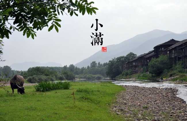 小满<a href=https://www.dadasou.com/ny/qijie/ target=_blank class=infotextkey>节气</a>是什么意思