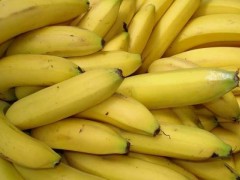 吃香蕉会不会长胖?