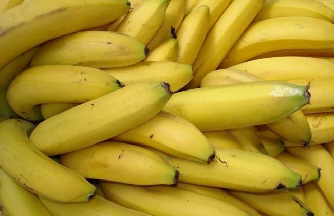 吃香蕉会不会长胖