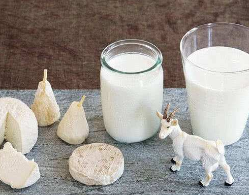 “白色血液”牛奶和“奶中之王”羊奶哪个好？