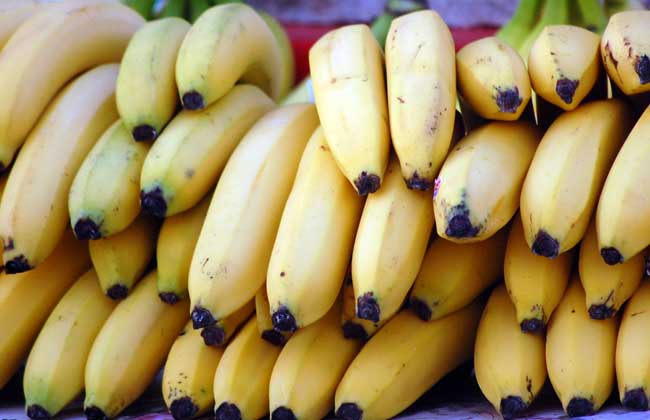 经期可以吃香蕉吗
