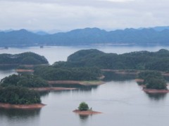 千岛湖钓鱼用什么饵料