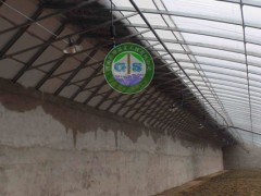 怎么建设温室大棚墙体？