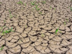 江西81天无雨是什么情况？哪些地方有旱情？有什么抗旱措施？