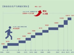 数说新中国70年农业农村巨变（全文）