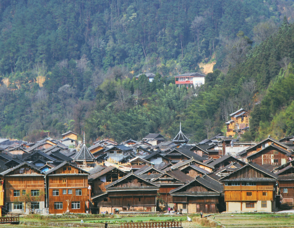 贵州“通村村”平台打通农村物流最末端,建成村级服务站点8600余个！