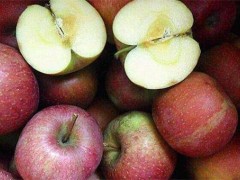 丑苹果和普通苹果区别是什么？产地最出名的在哪？