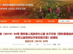 2020年西林县易地扶贫搬迁扶贫公益性岗位补贴标准是多少？