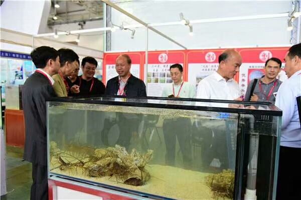 2020第十五届中国国际（厦门）渔业博览会暨水产养殖展览会4月启幕