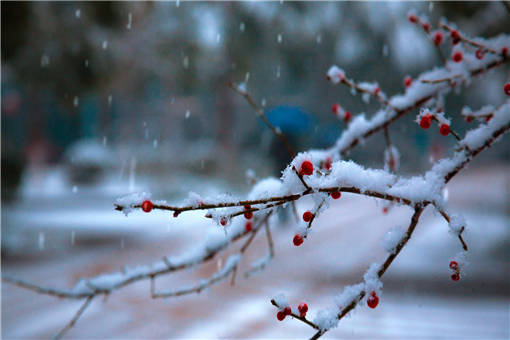 降雪