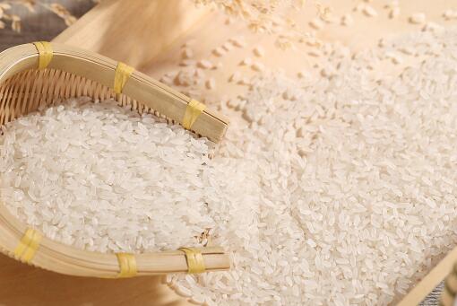 目前市面上的大米价格多少钱一斤？生虫了怎么办？