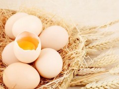 2019年四季度鸡蛋价格降幅近30%！2020年价格行情怎样呢？