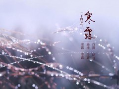 今日寒露,天气变冷,这些节气习俗你知道吗！