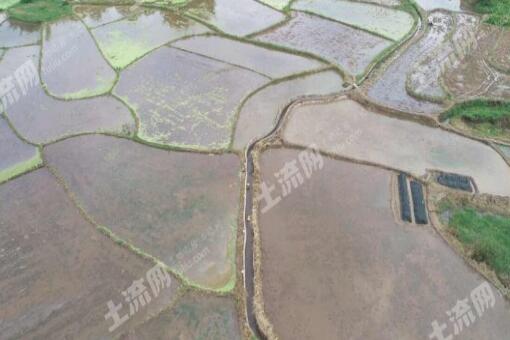辽宁将大面积推广水稻秋季秸秆还田技术,提高插秧质量！
