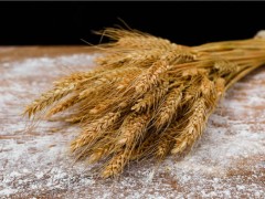 2019年最新小麦价格行情如何？农户什么时候卖粮合适？