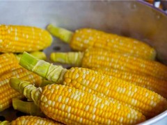2020年玉米价格行情如何？春节后价格会涨吗？附专家预测