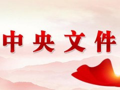 2020年中央一号文件发布！五大部分全面概括（附全文）