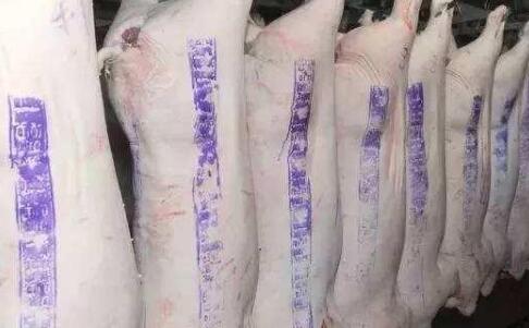 上周猪肉上涨11%！每公斤价格多少钱？网友直呼吃不起！