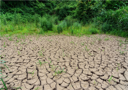 中国气象局：长江中下游受干旱影响,农业发展短时间内会减产！