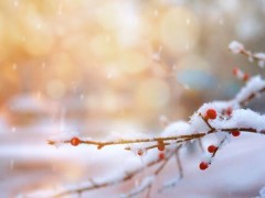 北京第三场雪是什么时候下？近期气温怎么样？下雪要满足什么条件？