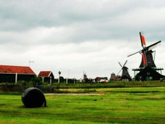 荷兰是第几大农业出口国？