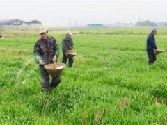 春耕施肥误区和注意事项