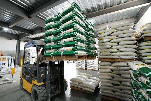 加工1吨大米利润是多少，加工大米设备多少钱