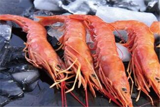 阿根廷红虾可以生吃吗？