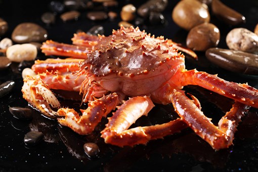 阿拉斯加帝王蟹多少钱一斤？