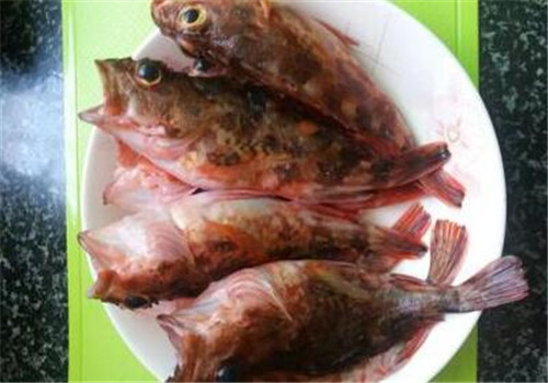 背鳍有毒的鱼“石九公”多少钱一斤？食用功效有哪些？