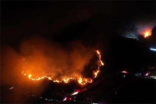 五台山发生森林火灾！起火原因是什么？是否造成人员伤亡？
