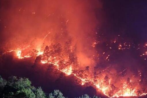 森林火灾绝大多数是人为原因引发是怎么回事？有什么后果？等级是怎么划分的？
