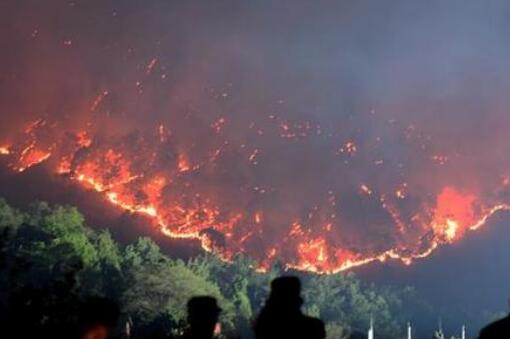 森林火灾绝大多数是人为原因引发是怎么回事？有什么后果？等级是怎么划分的？