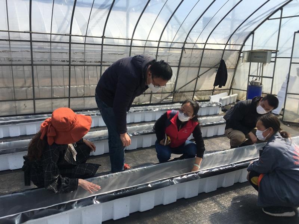 北京果蔬创新团队牵头：实现番茄种植数字化管理与少人化模式！
