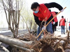 天津宝坻区的刚刚命名的“海棠路”栽下了365株美丽的西府海棠