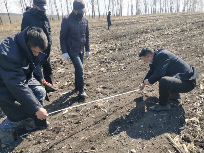 大西江农场有机小麦打出增值牌