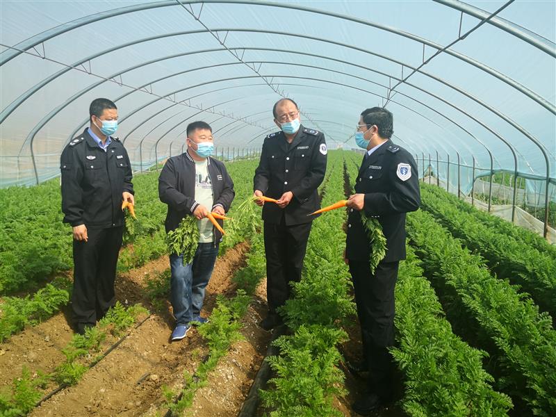 维护农民权益青岛严厉查处农资市场违法行为