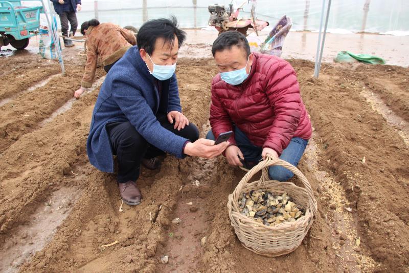 青岛胶州：浓浓的春耕“科技范”