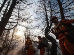 林芝山火蔓延！蔓延到哪里？林芝山火目前情况怎么样？