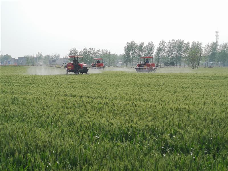 河南：让小麦重大病虫害防治实现全覆盖