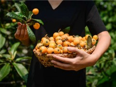 2019-2020年在农村种什么果树更赚钱？这5种果树好养活利润高！