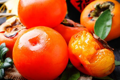 柿子种子可以种吗？怎么种植？管理技术有哪些？