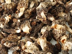 现在一斤羊肚菌大概多少钱？附人工栽培技术