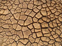 云南遭遇10年来最严重旱情！旱情对农业生产有什么影响？应对措施！