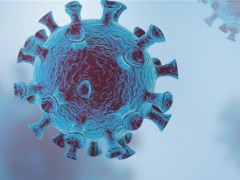 世卫辟谣新冠病毒起源自实验室！新冠病毒源来自哪里？终于真相了！