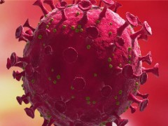 中国科学院：新冠病毒受气温影响小！新冠病毒会在夏天消失？