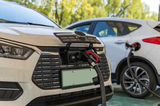 两年内购置新能源车免征购置税的目的是什么